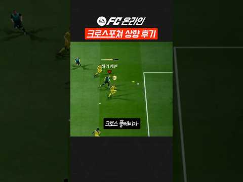 크로스포쳐 상향 <strong>업데이트</strong> 후기