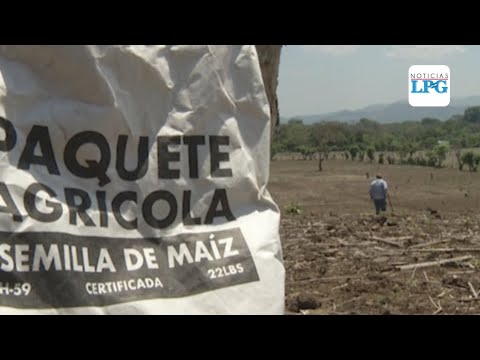 Agricultores salvadoreños comienzan a sembrar en medio de pandemia de covid-19