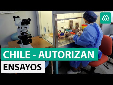 Vacuna Covid-19 | Autorizan ensayos clínicos en Chile