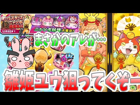 ぷにぷに『今回の目玉は雛姫伏李ユウだけど回すの待った！オールスターズ超ニャンボでUZ当てにいくぞー！』Yo-kai Watch