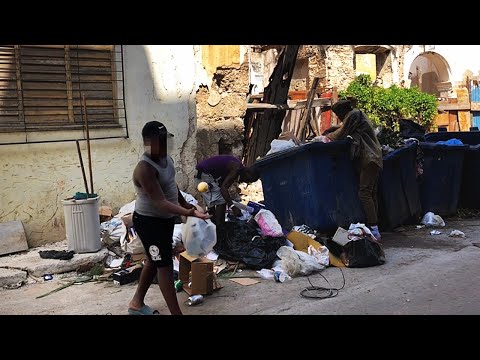 NIÑOS trabajadores en Cuba: REALIDAD que no se puede IGNORAR