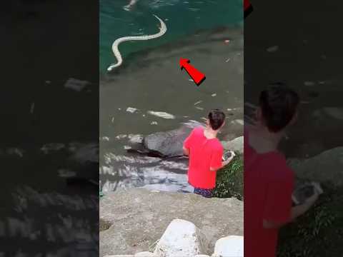 बाल बाल बच गया ✋ | #shorts