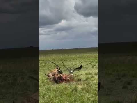 Nature's brutality cannot be underestimated