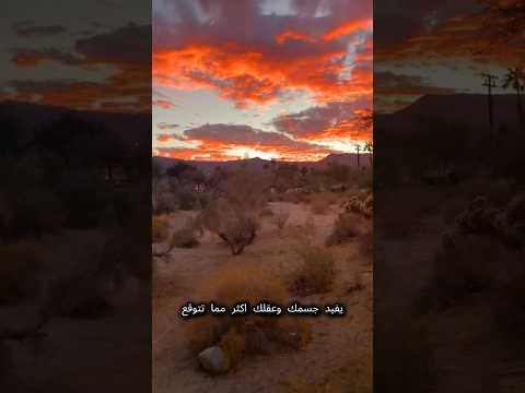 لن تصدق فوائد النظر لغروب الشمس! 🌅