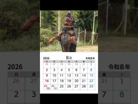2026年カレンダー予約開始! #カレンダー #保護犬 #shorts