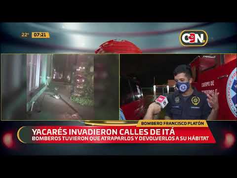 Yacarés invadieron calles de Itá debido a las lluvias