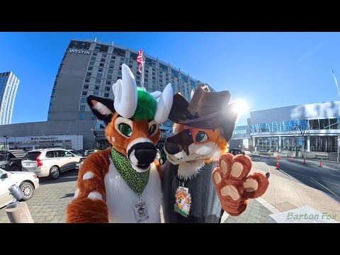 Anthro New England 2026 (ANE 2026) - Random Clips