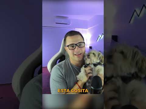 😅ANÉCDOTA de CÓMO mi PERRITA se COMIÓ una CAJA ENTERA de ALFAJORES #humor #anecdotas