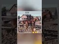 Dressage horse Leuke Kjento jaarling te koop