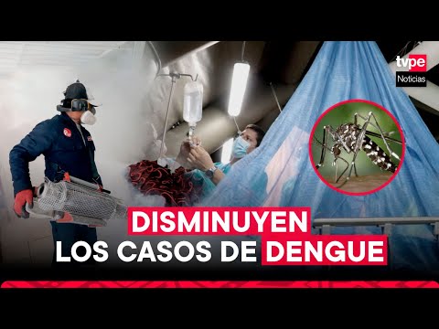 Dengue en Perú: reportan disminución de casos en cuatro regiones