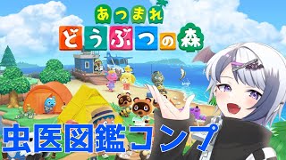 【あつまれどうぶつの森】レアな虫捕まえる朝活雑談【VTuber】