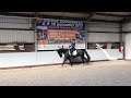 حصان الفروسية Superleuke 8-jarige ruin, Z1-dressuur-fijn springen