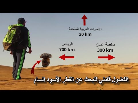 عَرَاء لايعيش فيه إلا الأقوياء ( 190 ) The Desert is Where Powerful Creatures Live