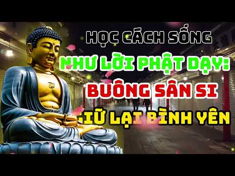Nghe Mỗi Đêm: Giữ Tâm An – 6 Lời Phật Dạy Giúp Mọi Bão Giông Đều Hóa Lành