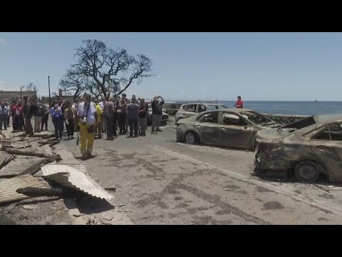 Governor Josh Green says Hawaii wildfire death toll 'going to rise' further