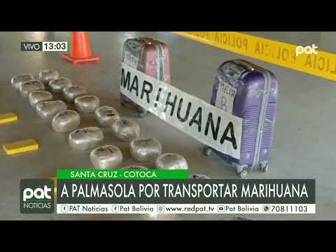 Caso narcotráfico: Enviados a Palmasola por transportar 20 paquetes de marihuana