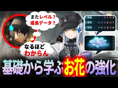 【ドルフロ2】新システム難しすぎ！そんな指揮官にお花の解説をします！リモールディングパターン【ドールズフロントライン2】