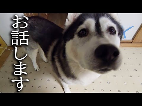 大変なことがおこりました...