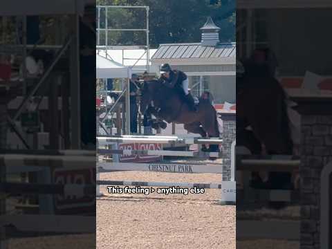 #equestrianjourney #equestrian #showjumping #horse #relatable #fyp