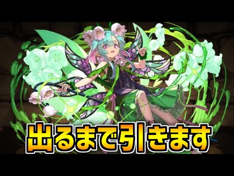 虹メダルは絶対交換しろ！星を紡ぐ精霊ガチャ 新キャラ出るまで引いてみた！【パズドラ】