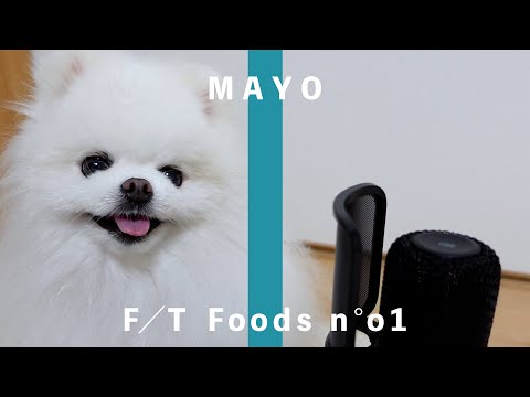 【THE FIRST TAKE】ポメラニアン×豆腐