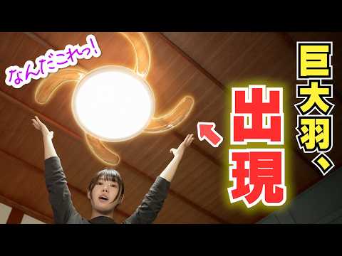 ライトから巨大な“羽”が出現!?近未来チックなシーリングファンライト【LumoAir】が凄すぎる!
