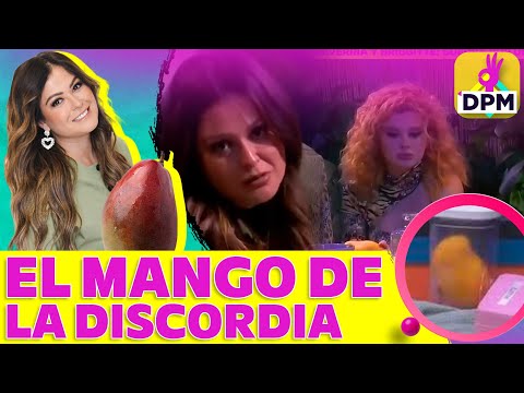 Todo sobre la PELEA de Mariana Echeverría con Briggitte por un MANGO | De Primera Mano