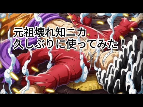 トレクル 元祖ぶっ壊れ知ニカ 現環境でも余裕で使える!