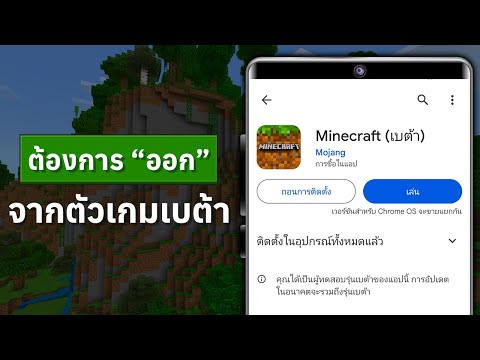 วิธีการออกจากตัวเกมเบต้าที่ถูก