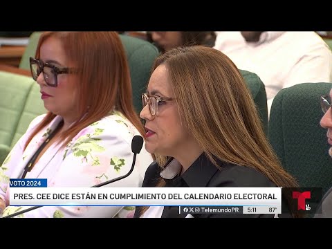 Presidenta de la CEE dice es muy riesgoso atrasar el calendario electoral