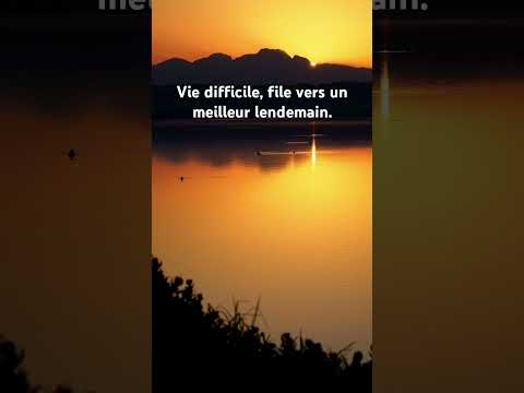Meilleur lendemain #citation #proverbes #motivation #difficile #yt #youtubeshorts #youtube #haiku