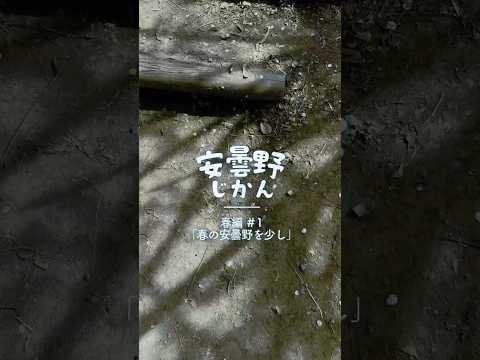 安曇野じかん｜春編 #1「春の安曇野を少し」
