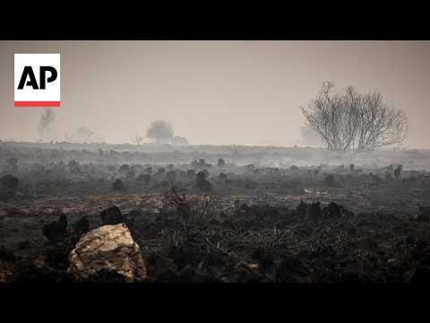 Regional police director says various services working to battle Belgium wildfire