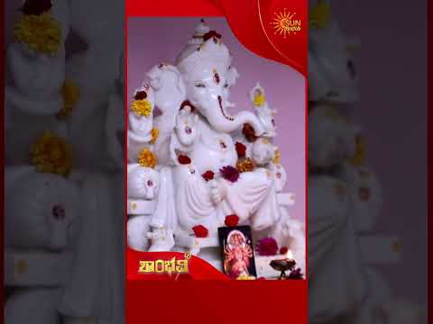Shambhavi | #shorts | Kannada Serial |  Sun Udaya