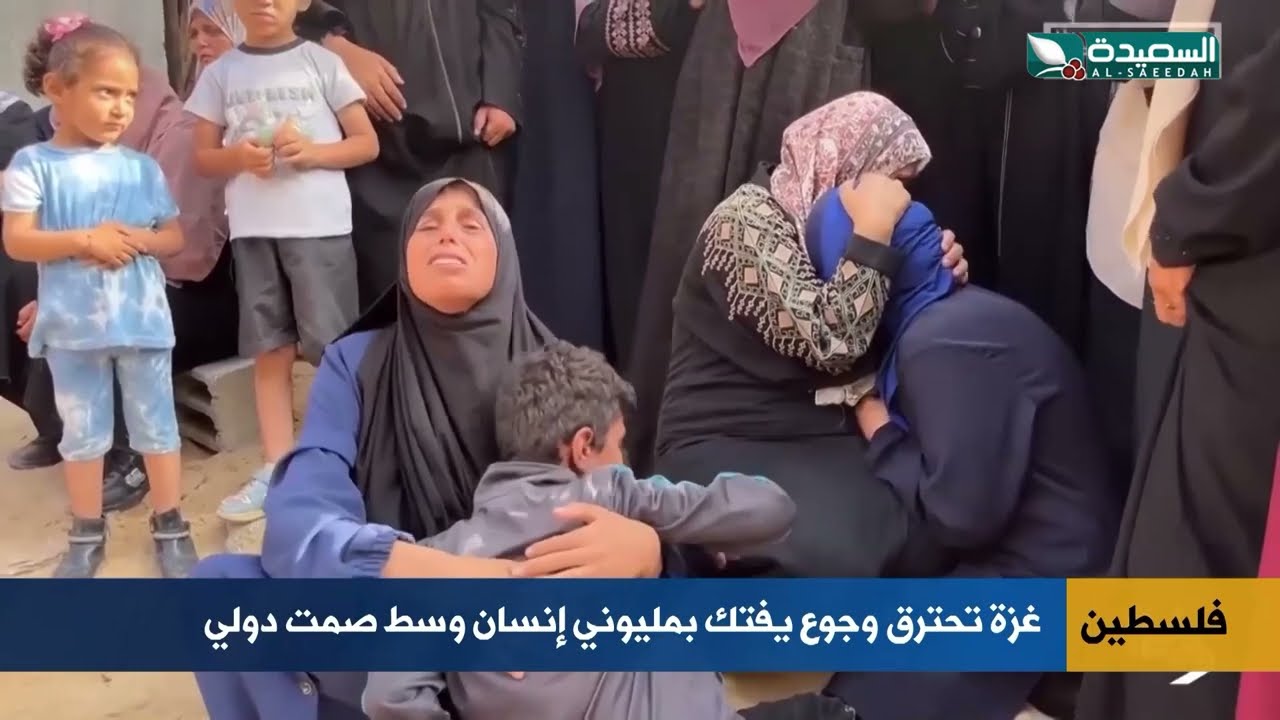 قناة السعيدة