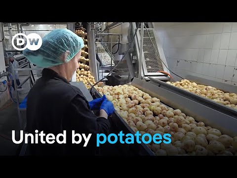Kosovo: Potato chips bring Serbs and Albanians together | DW Mews