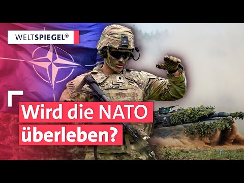 Schlimmste Krise für die NATO seit Gründung vor 75 Jahren | Weltspiegel Extra