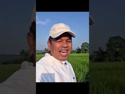Himbauan KDM buat anak-anak #shorts #jawabarat #news #jabaristimewa
