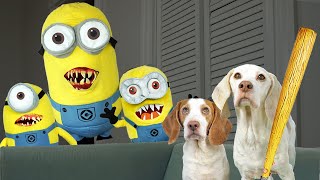 動画サムネイル