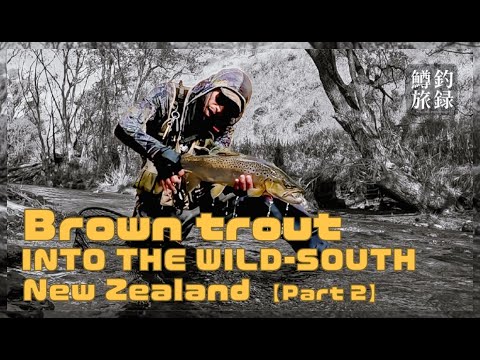 ⭐️NZ後編【2025🇳🇿NZニュージーランド南島_最南部の開拓釣行・後編】🏔️Into the Wild South🐟🎣newzealand