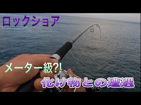 【ショアジギング】巨大ブリ引きずり込まれる!!