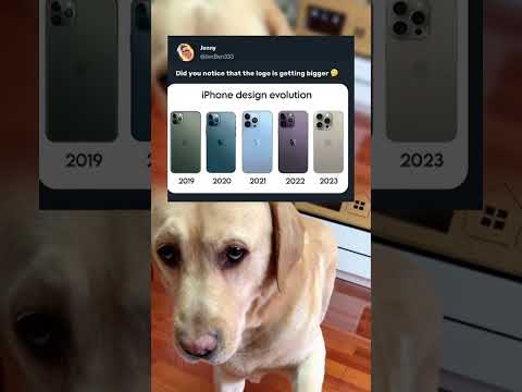 #memes #story #dog #shorts #pets