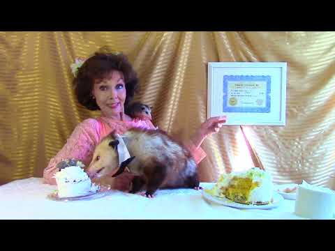 Proper Possum Pomp & Circumstance
