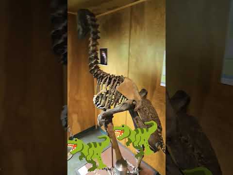 #wyoming #museum #adventure #dinosaur #scary