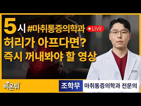 허리 통증, 즉시 꺼내봐야 할 영상 / 마취통증의학과 전문의 조학무
