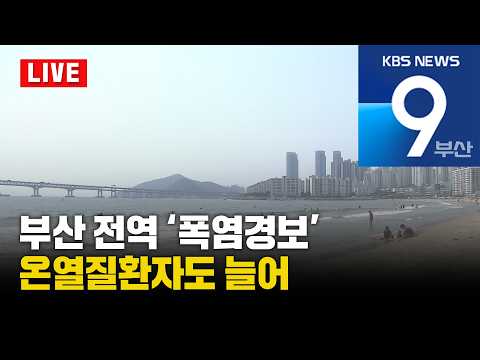 [<strong>LIVE</strong>] KBS 뉴스9 <strong>부산</strong> - 2026.08.24(월)