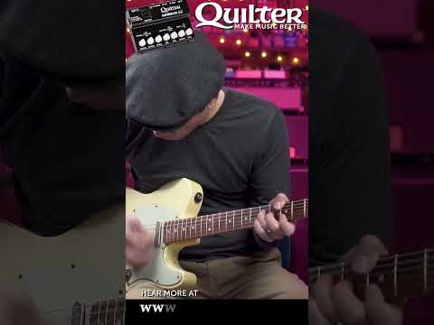 Quilter Labs |  '65 Blackface #SHORTS  #amplifiers