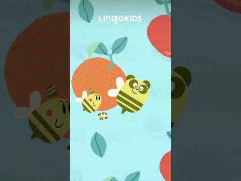 Buzzing Bees 🌻 All About Bees with @lingokids #bees #kidsepisode #lingokids