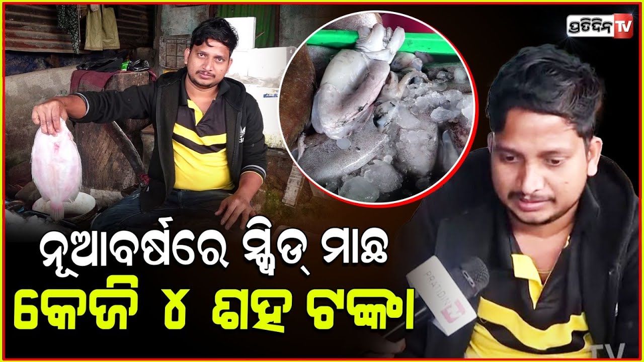 ନୂଆବର୍ଷରେ ସ୍କ୍ୱିଡ୍ ମାଛ କେଜି ୪ ଶହ ଟଙ୍କା l Jellyfish Available at Bhubaneswar Unit 4 Fish Market .