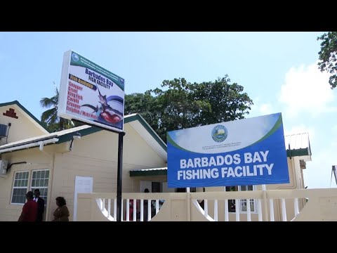 Upgraded Fish Facility In Tobago
